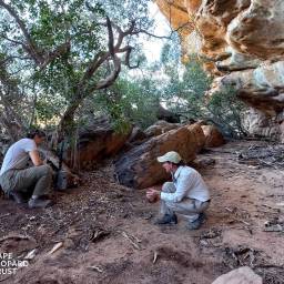 Camera trap setup with Bushmanskloof